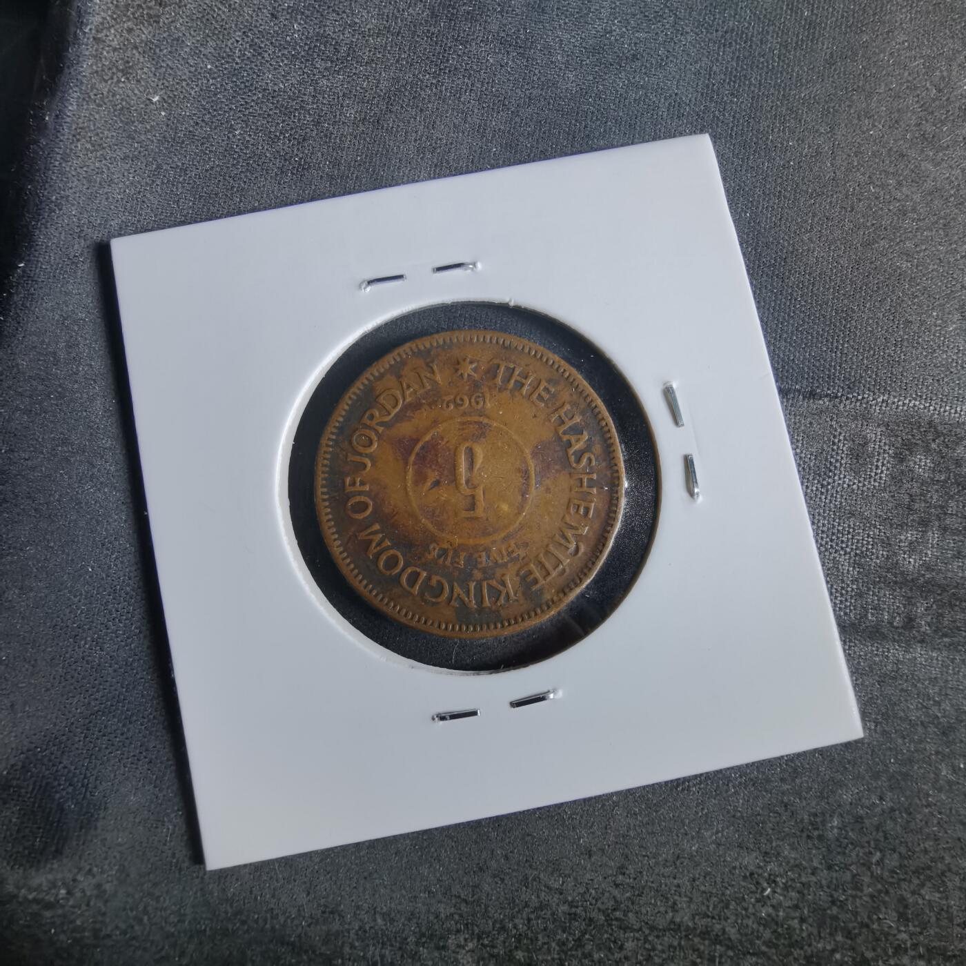 沼泽如烟--第919场