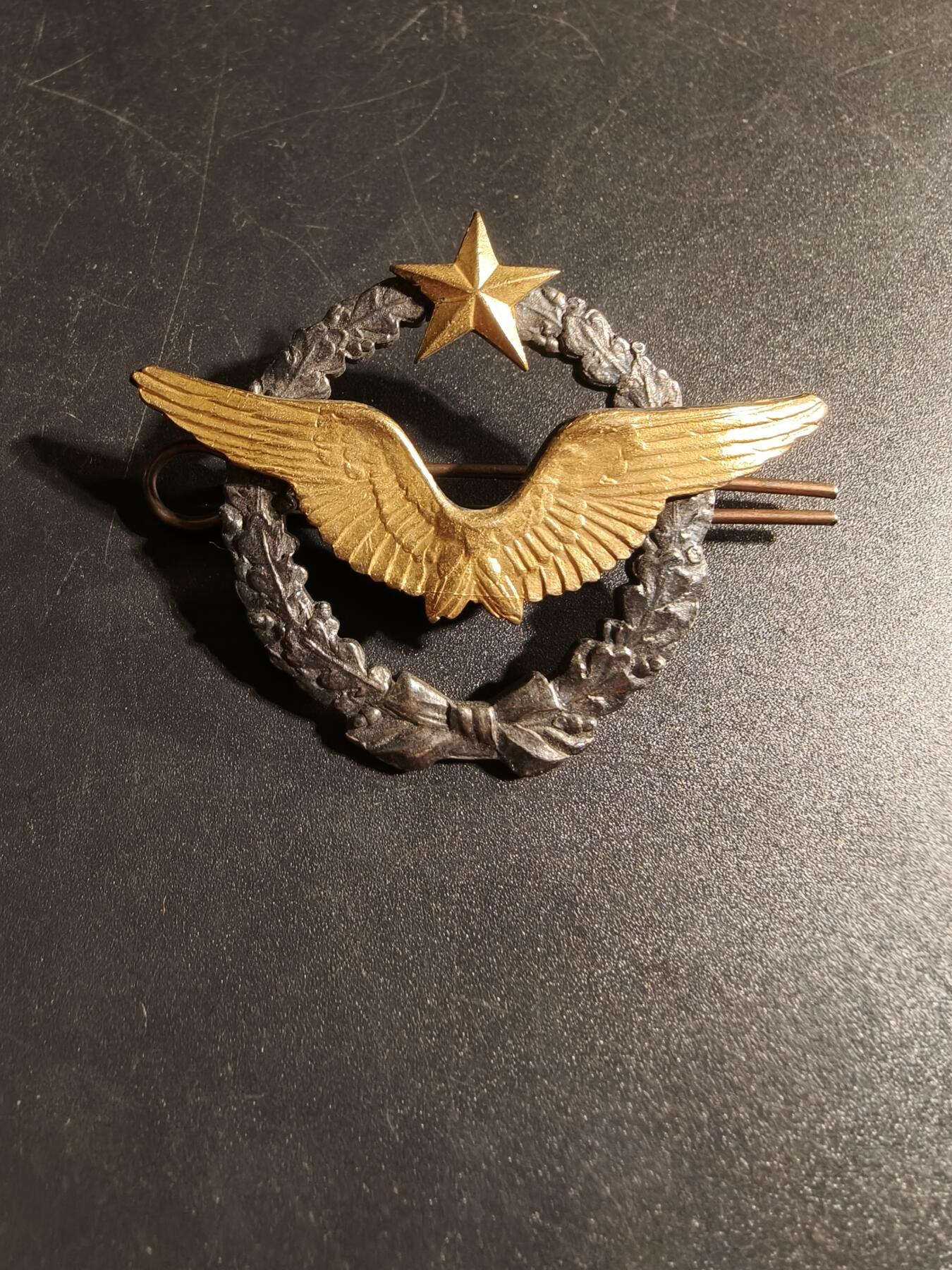 老王徽章第167期 法国空军飞行员证章