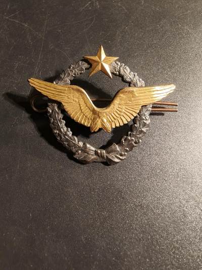 老王徽章第167期 - 法国空军飞行员证章