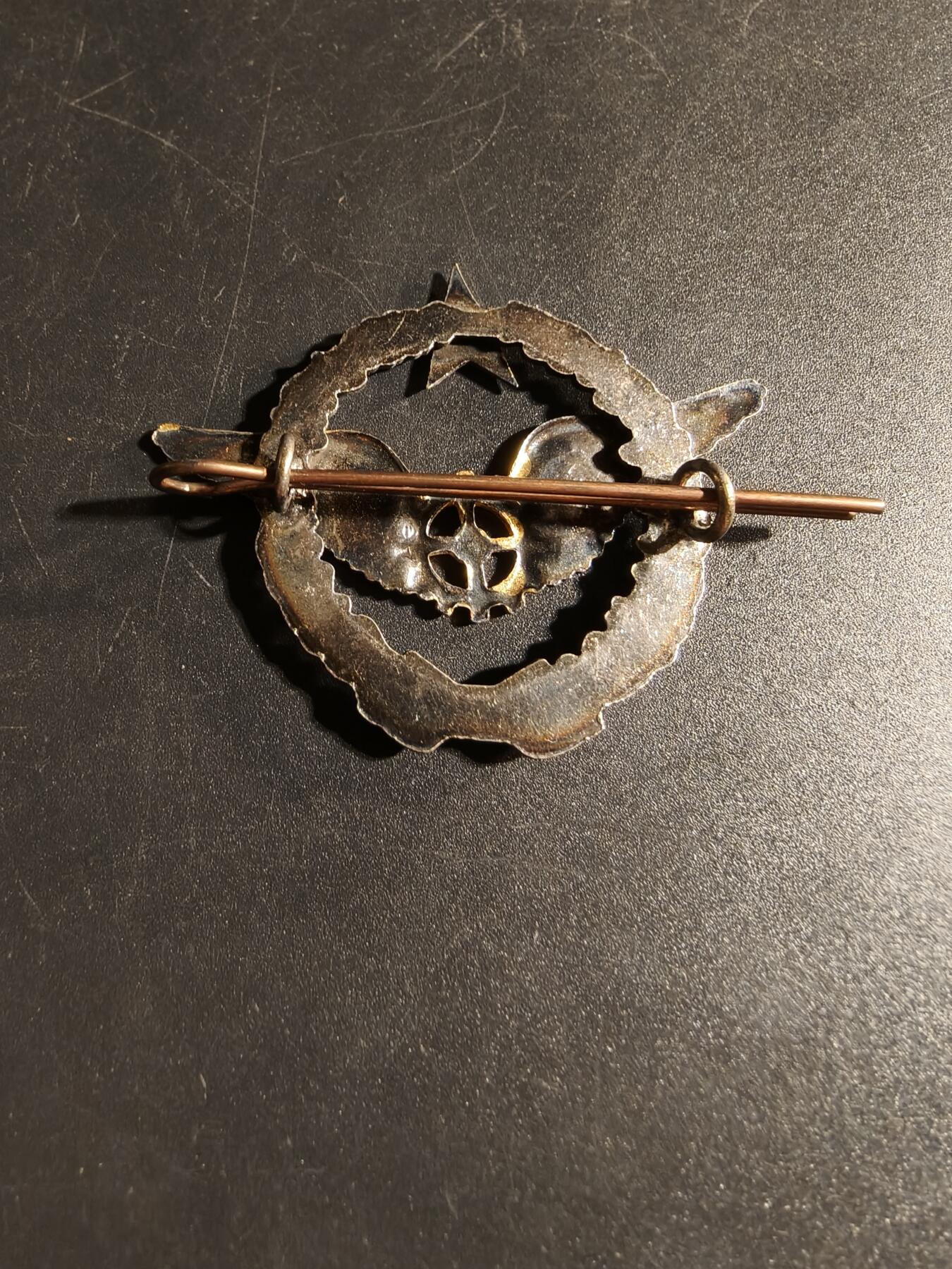 老王徽章第167期 法国空军飞行机械师证章