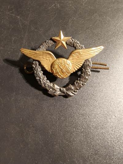 老王徽章第167期 - 法国空军领航员证章