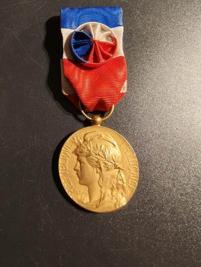 老王徽章第167期 - 法国金级劳动荣誉奖章