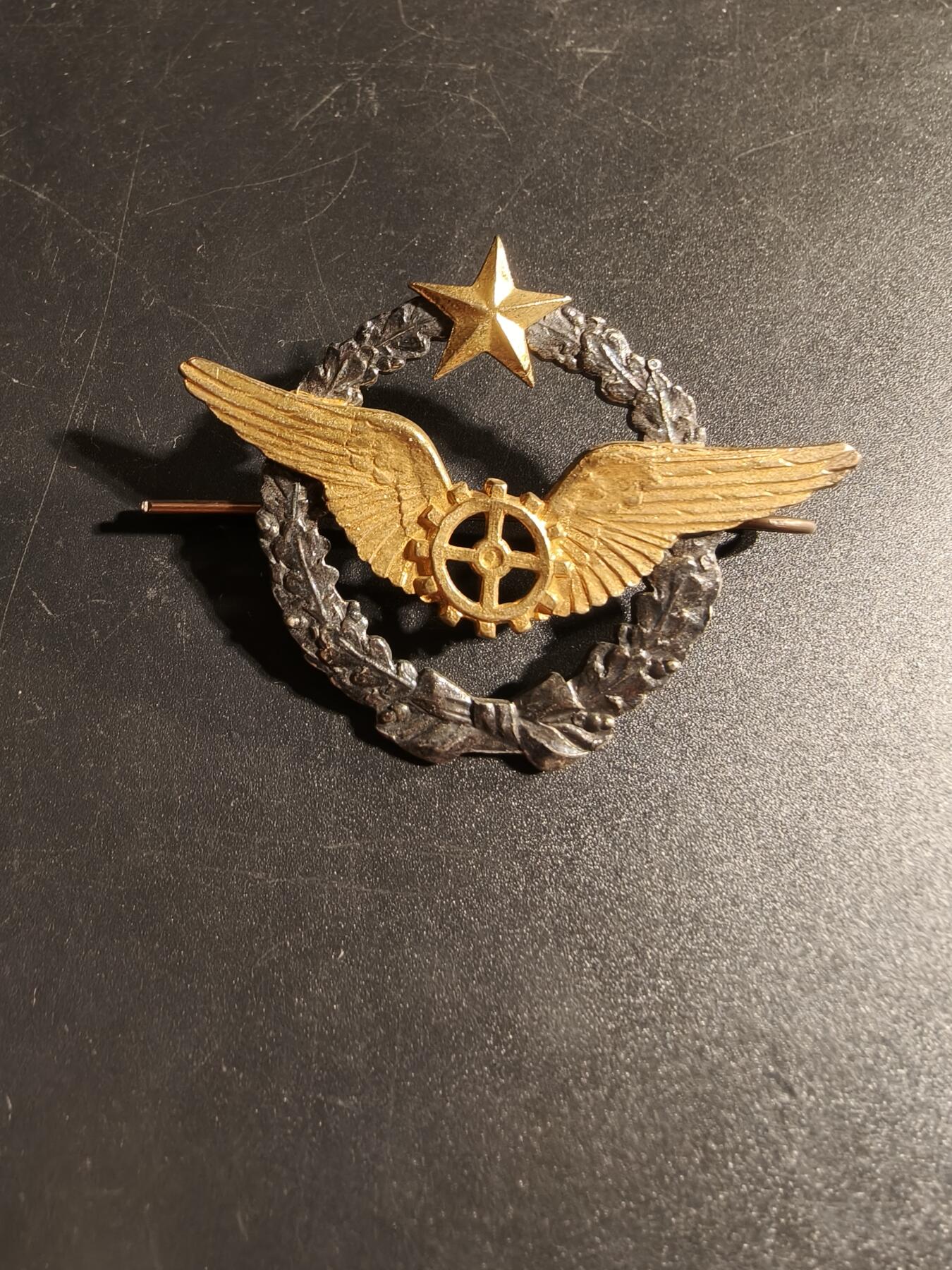 老王徽章第167期 法国空军飞行机械师证章