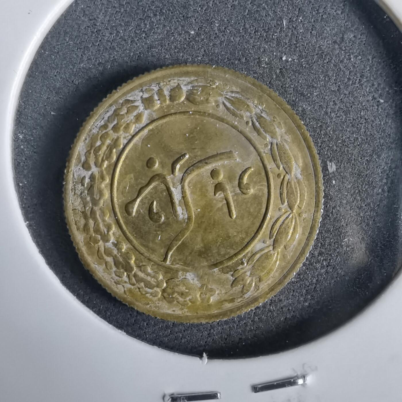 沼泽如烟--第919场 伊朗代币