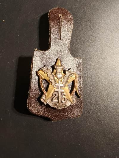 老王徽章第167期 - 法国第26步兵团证章