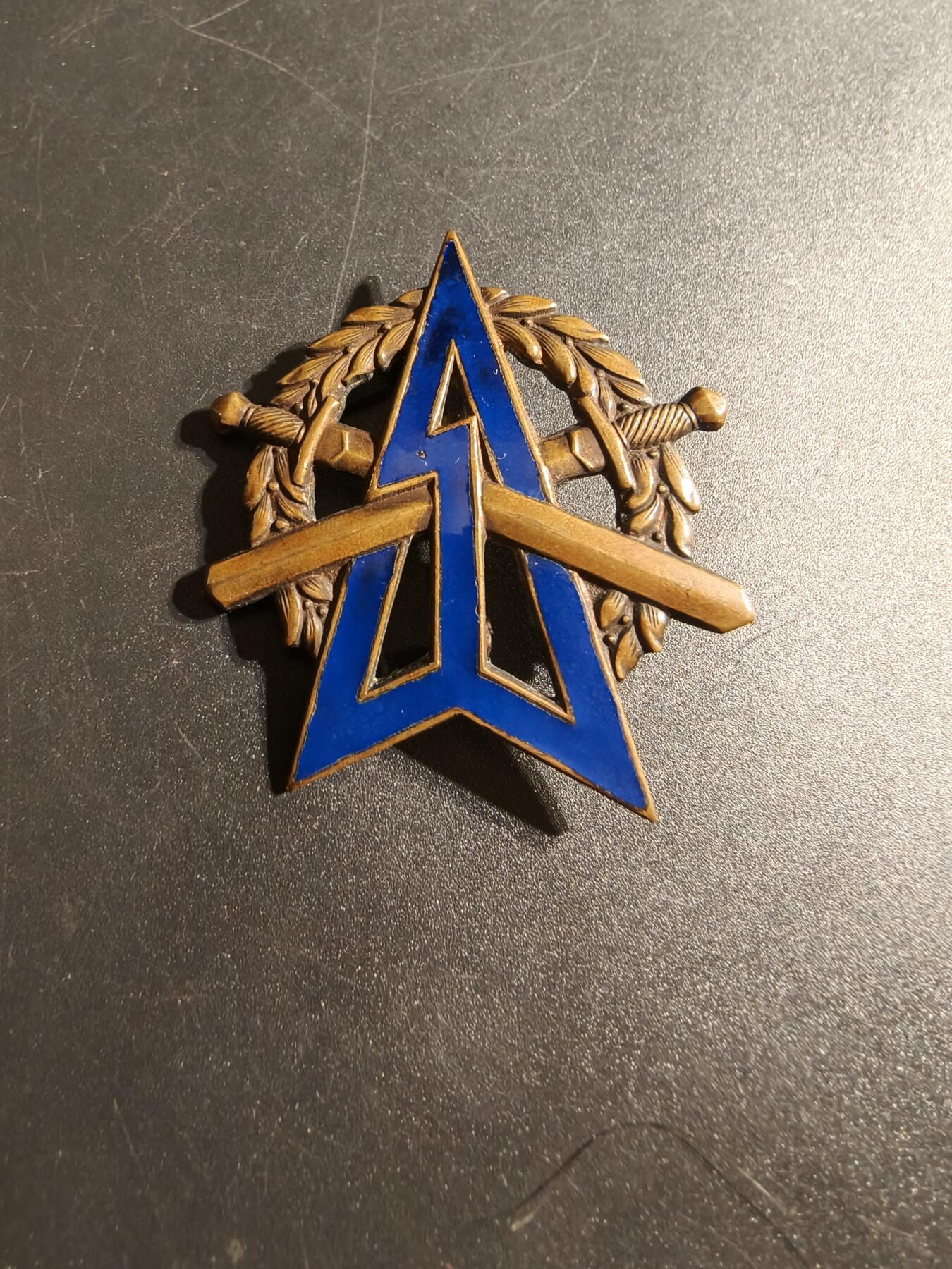 老王徽章第167期 荷兰陆军体能证章