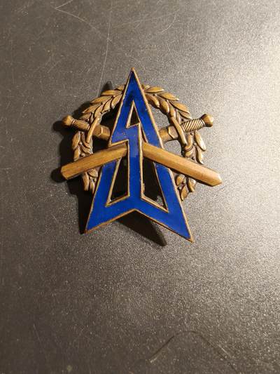 老王徽章第167期 - 荷兰陆军体能证章