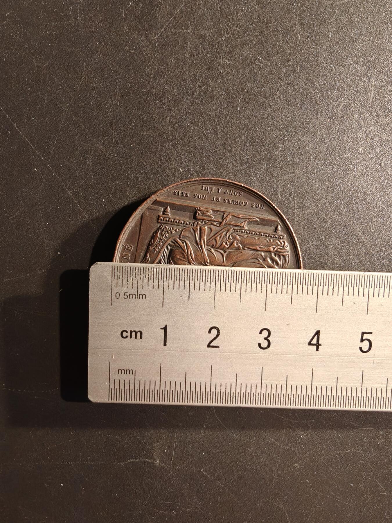 老王徽章第167期 法国波旁王朝复辟时期1820年王位继承人波尔多公爵出生大铜章     光边原铸     直径38mm.    重量30g