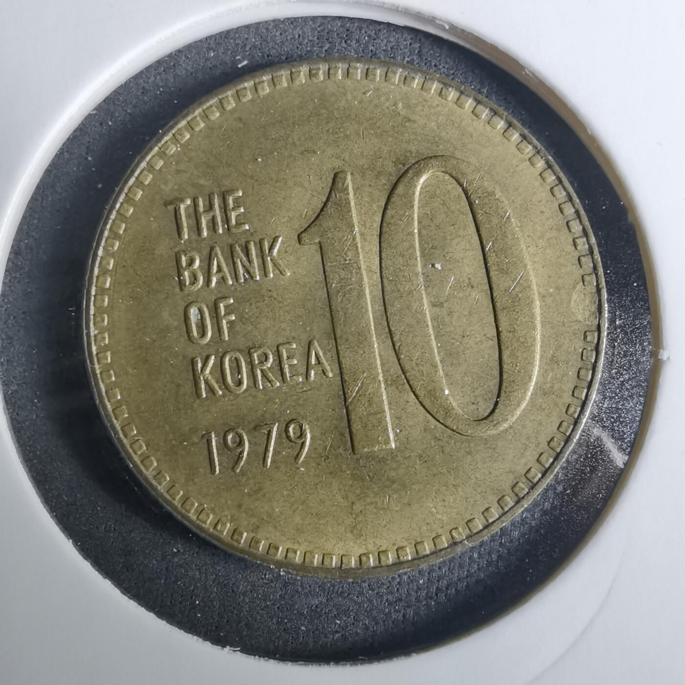 沼泽如烟--第919场