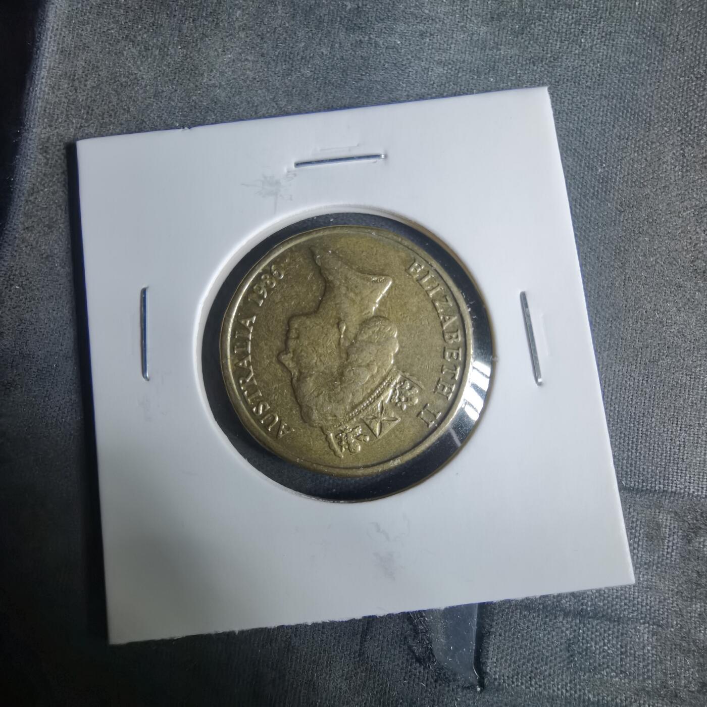 沼泽如烟--第919场