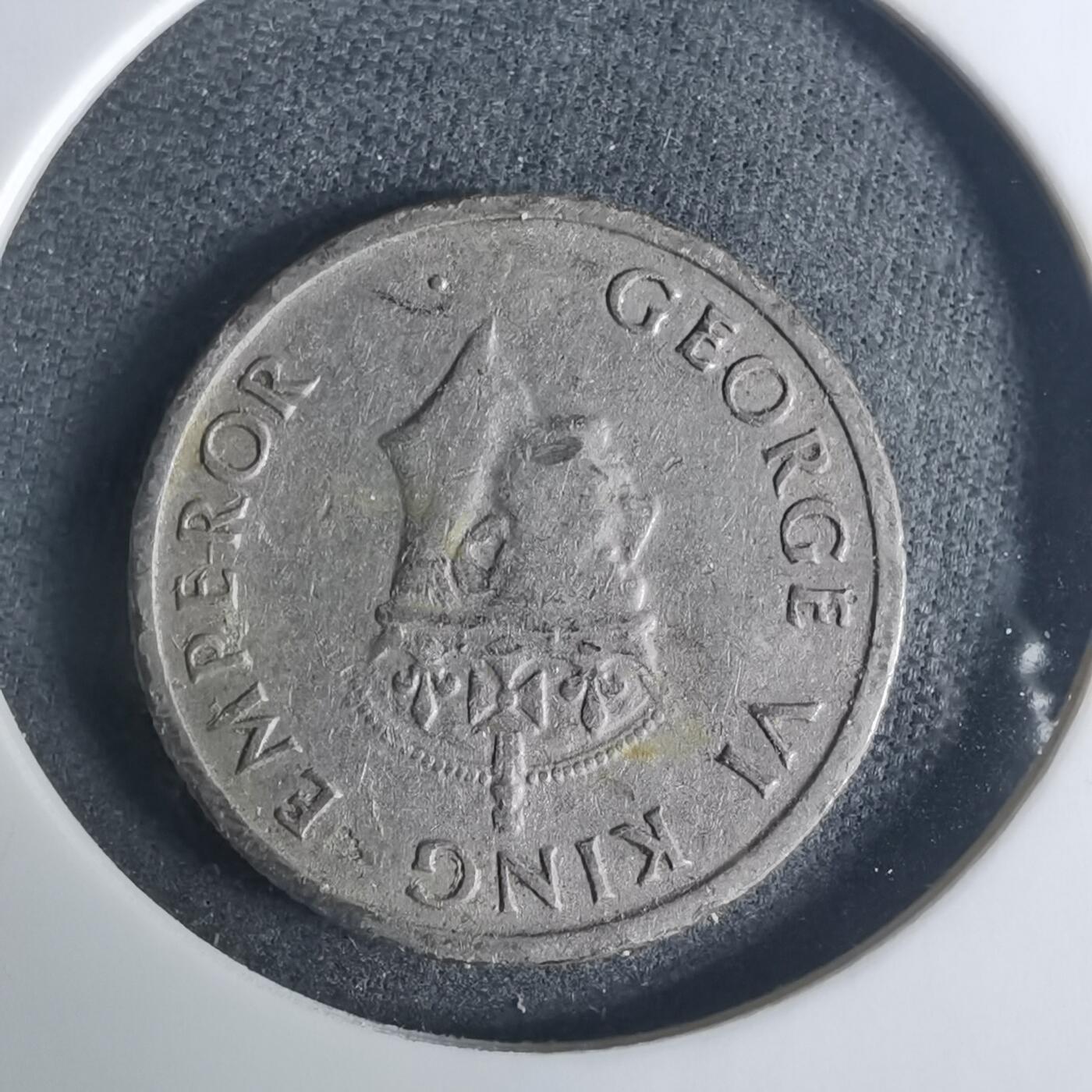 沼泽如烟--第919场