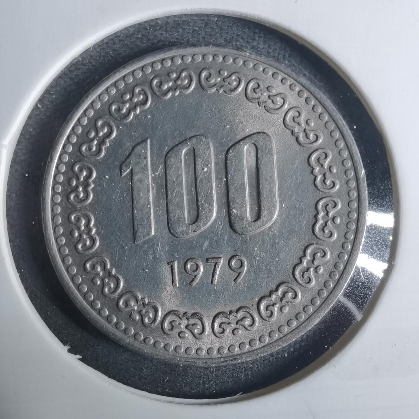 沼泽如烟--第919场