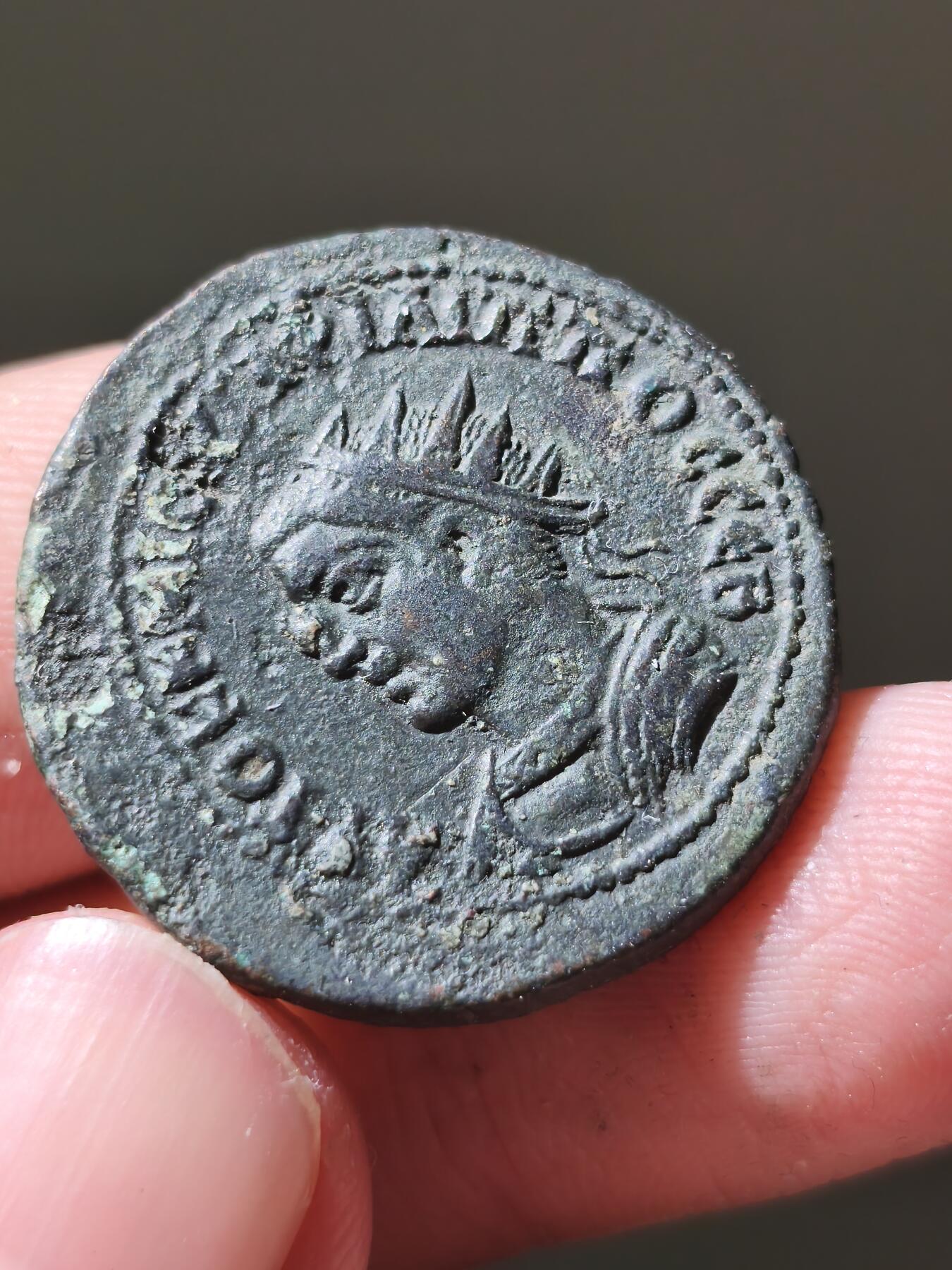 星盘世界钱币十二月六日古典币专场