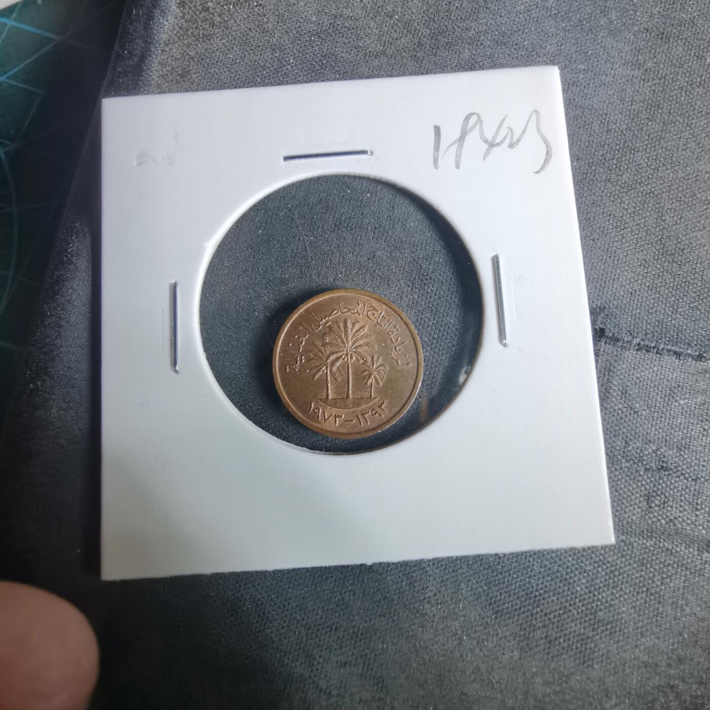 沼泽如烟--第919场