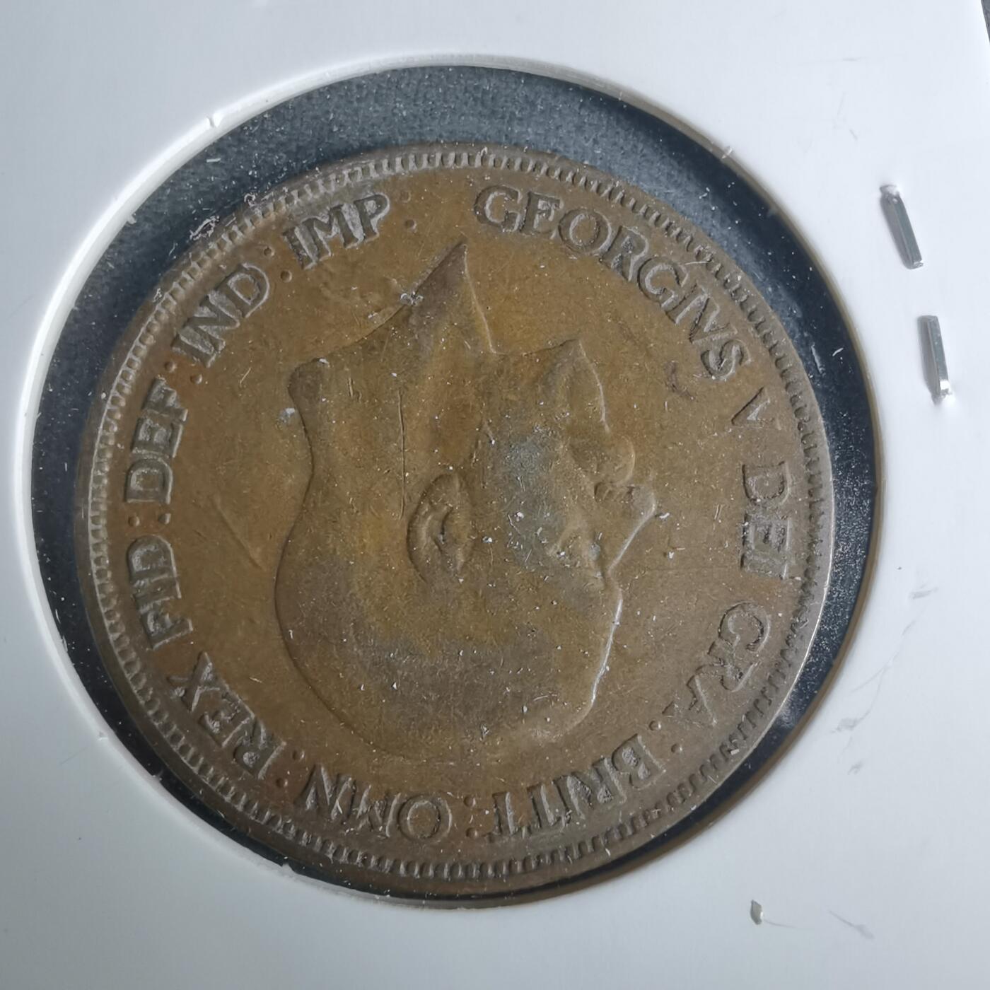 沼泽如烟--第919场