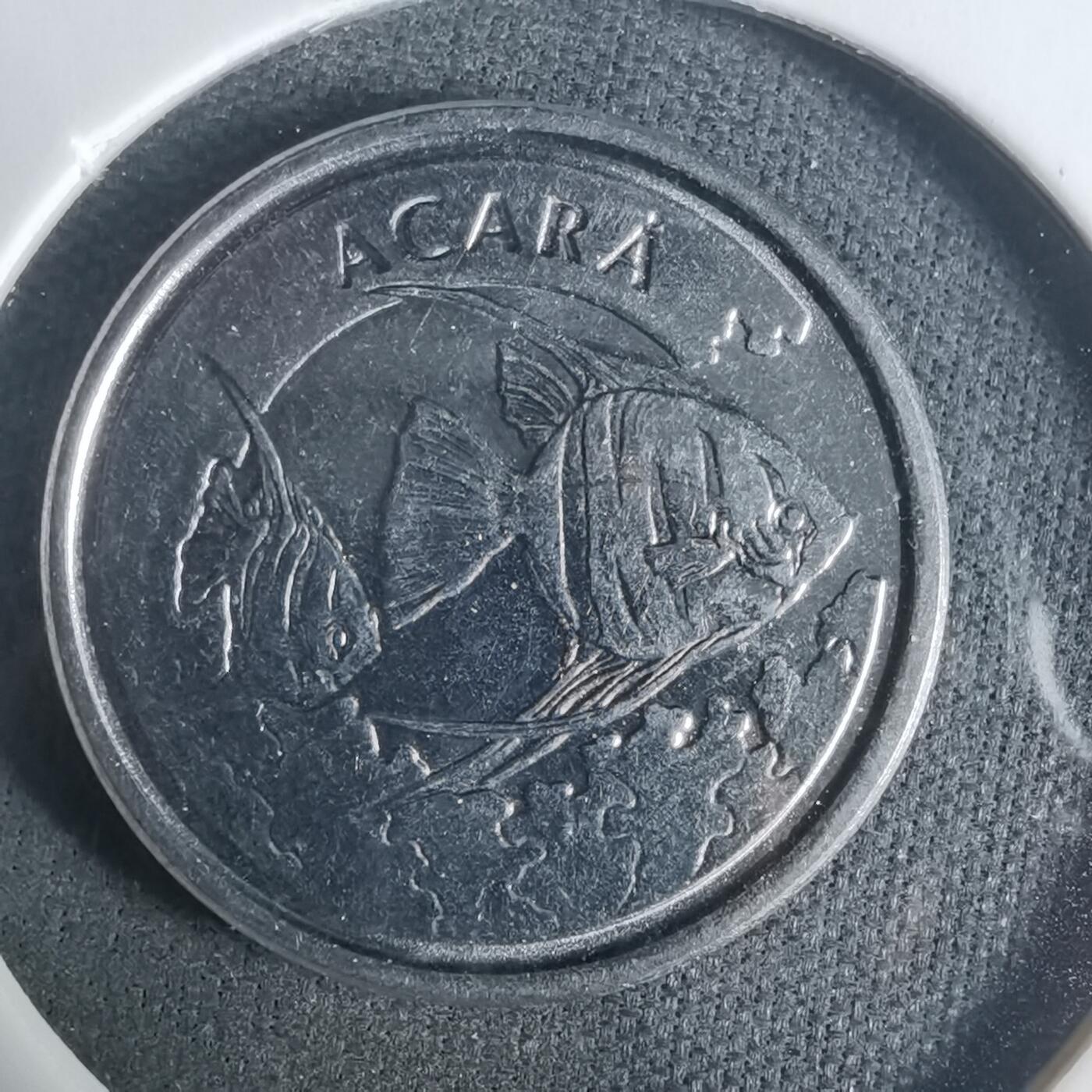 沼泽如烟--第919场 巴西1993年1000克鲁塞罗