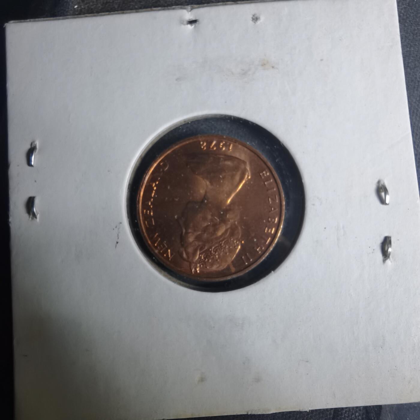 沼泽如烟--第919场