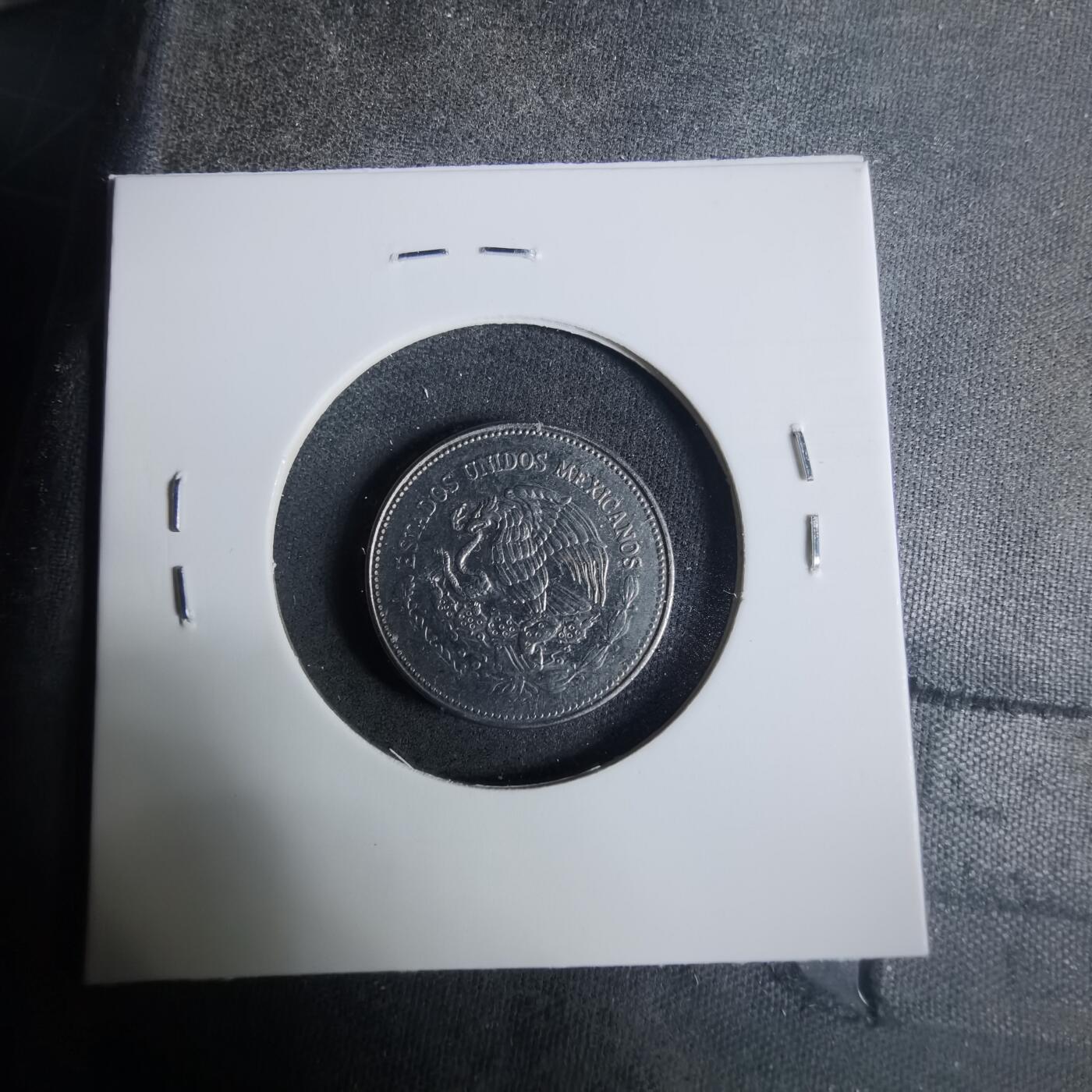 沼泽如烟--第919场