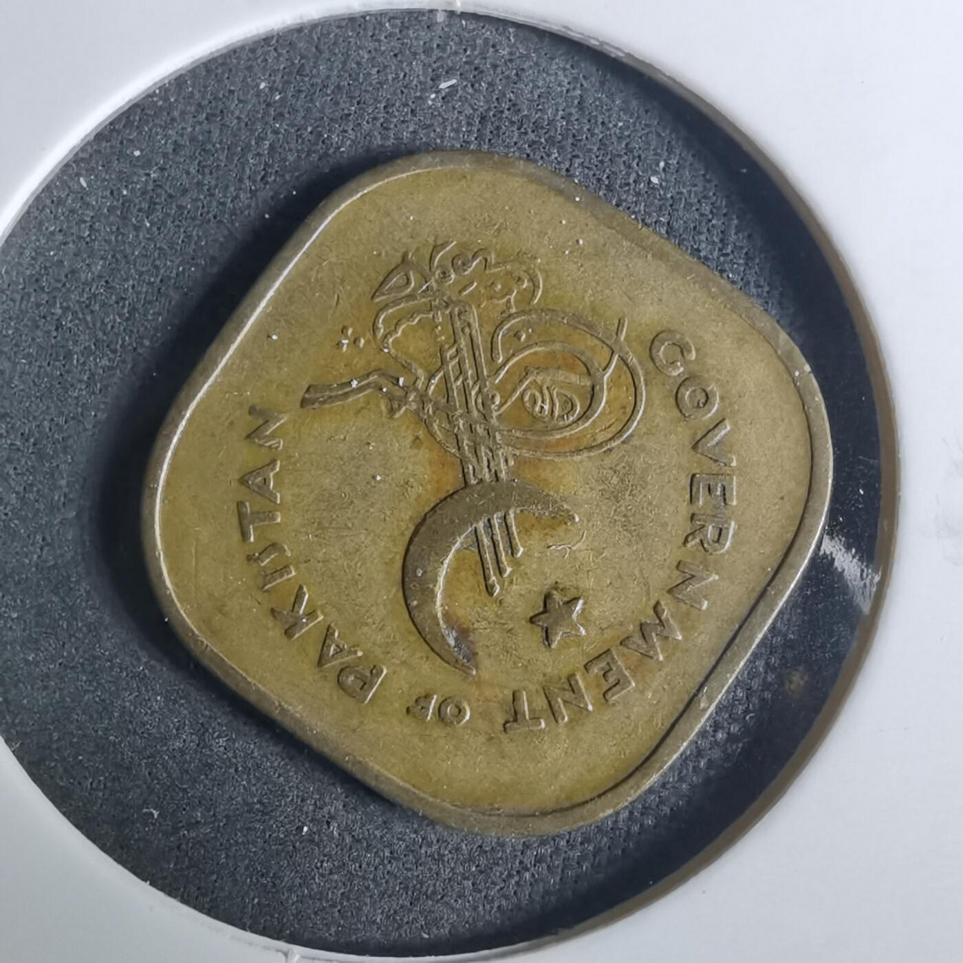 沼泽如烟--第919场