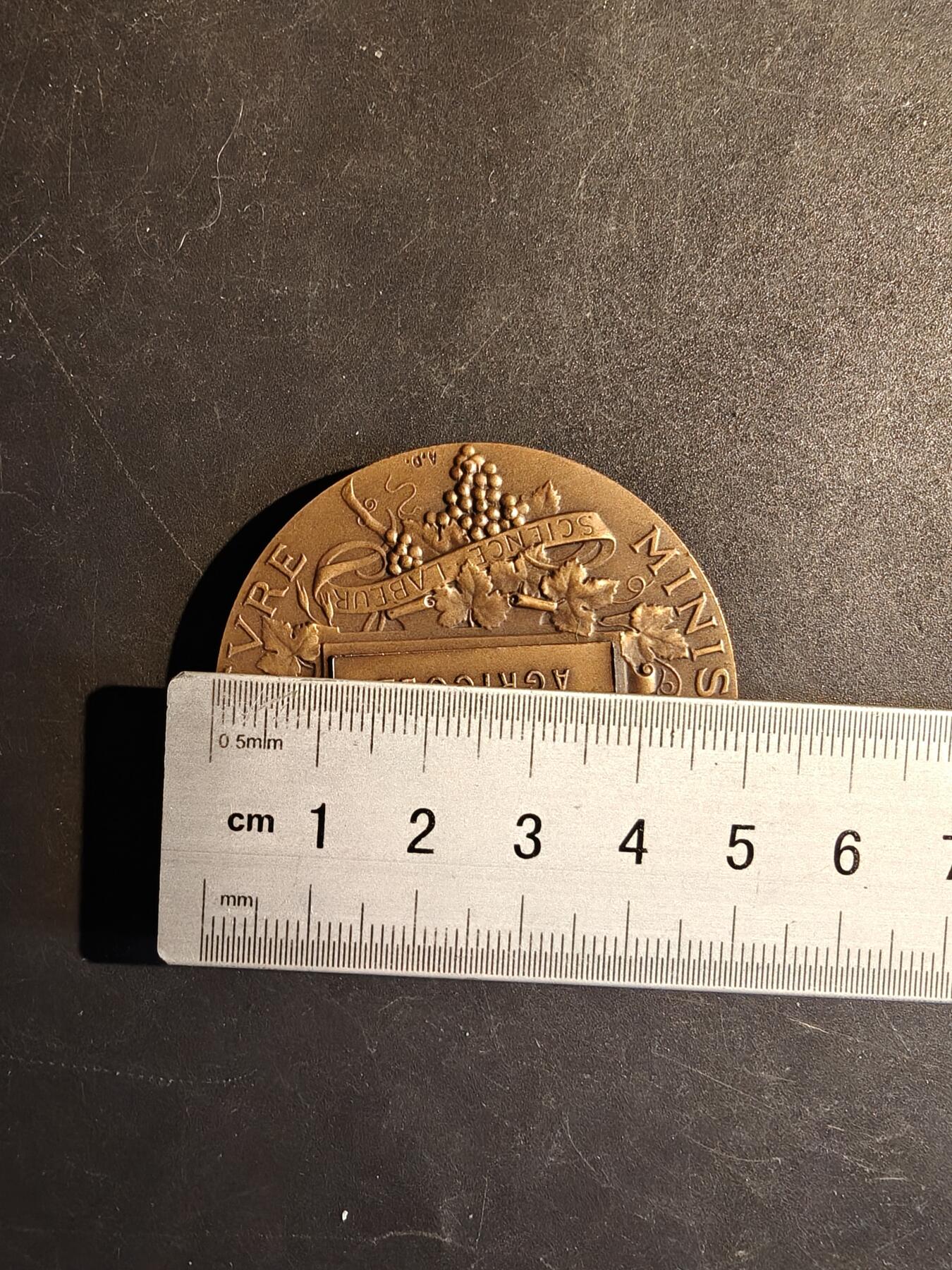 老王徽章第167期 法国农业竞赛大铜章     阿尔菲•杜布瓦作品     直径50mm.    重量67.7g