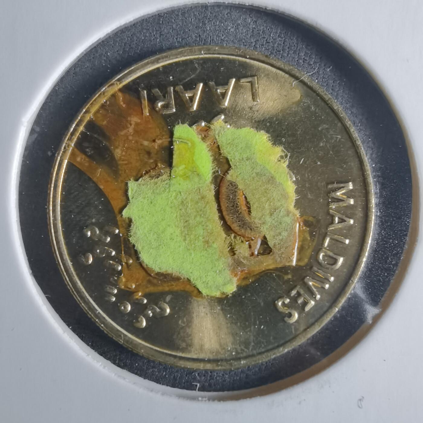 沼泽如烟--第919场