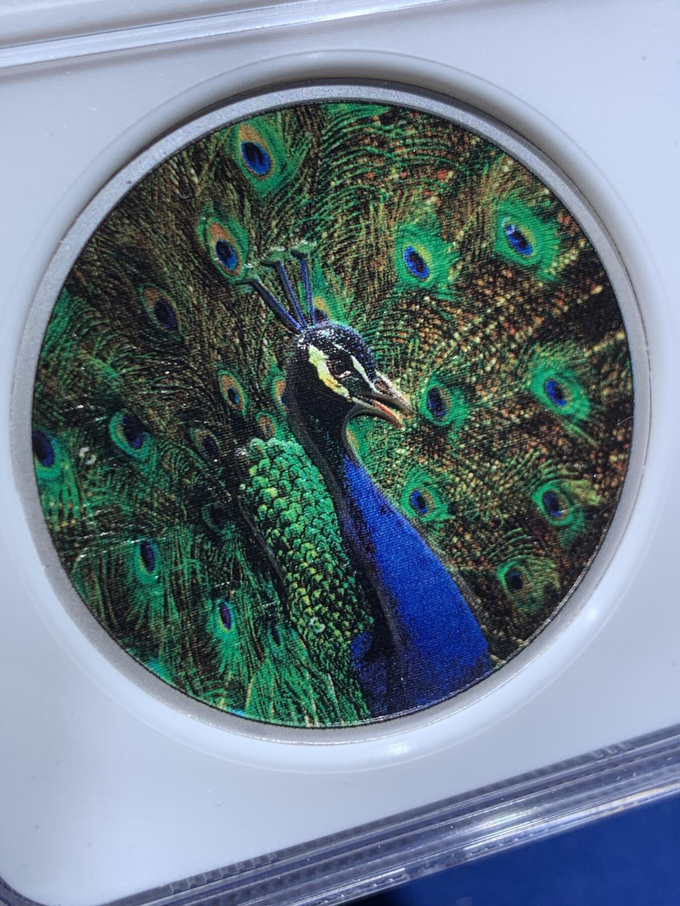 《竞宝斋》第444场 周日，周一，2场连拍 （全场包邮）