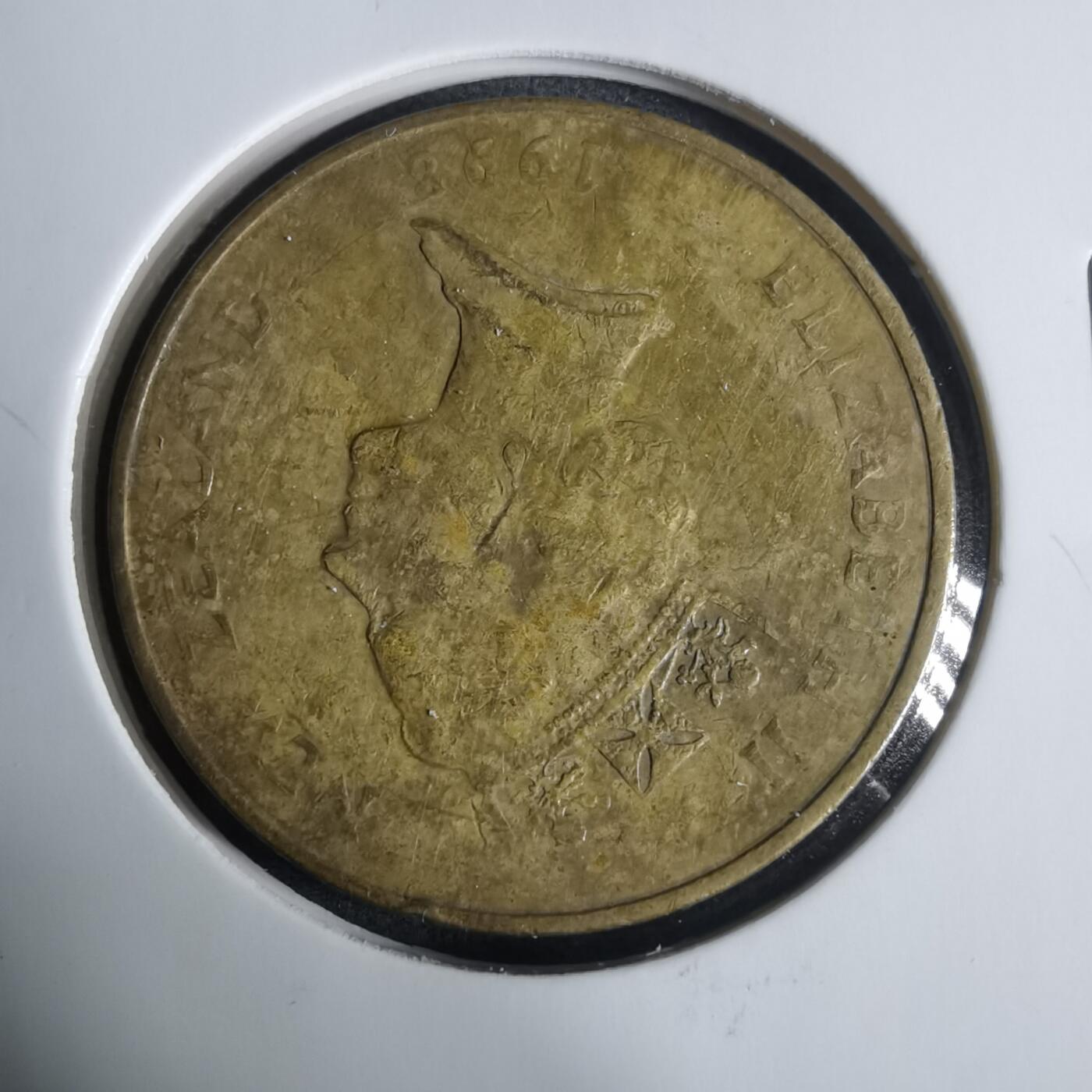 沼泽如烟--第919场