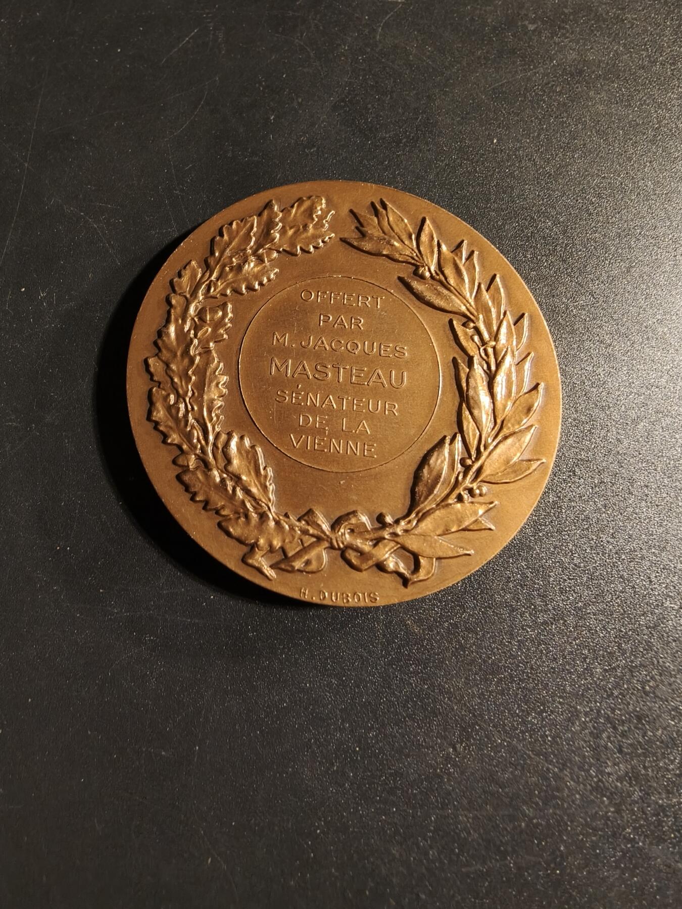 老王徽章第167期 法国维埃纳市参议员赠大铜章      直径50mm.    重量67.4g