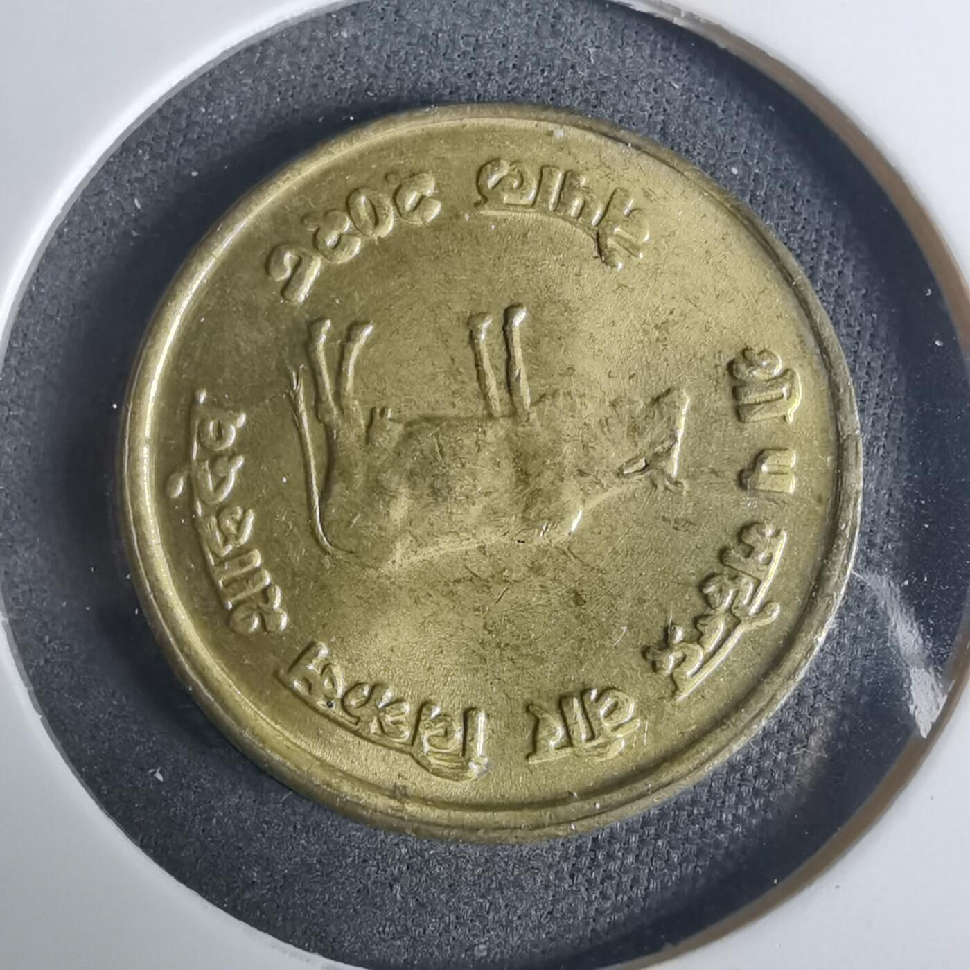 沼泽如烟--第919场 尼泊尔