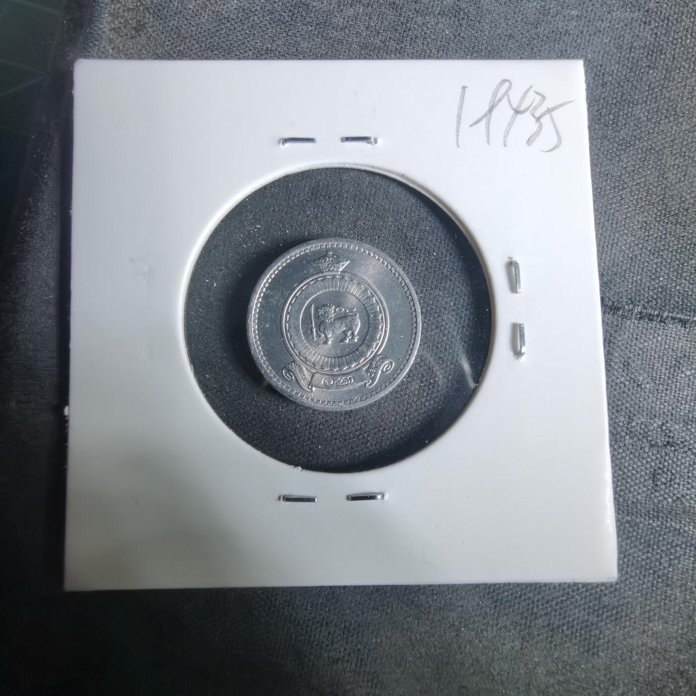 沼泽如烟--第919场