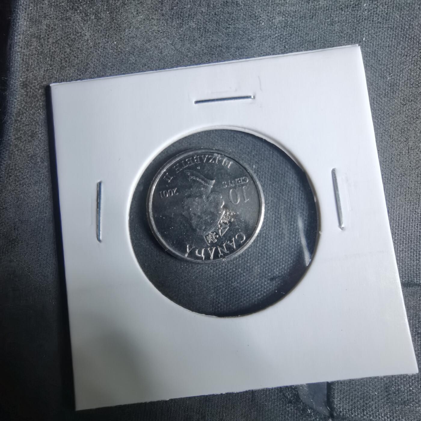 沼泽如烟--第919场