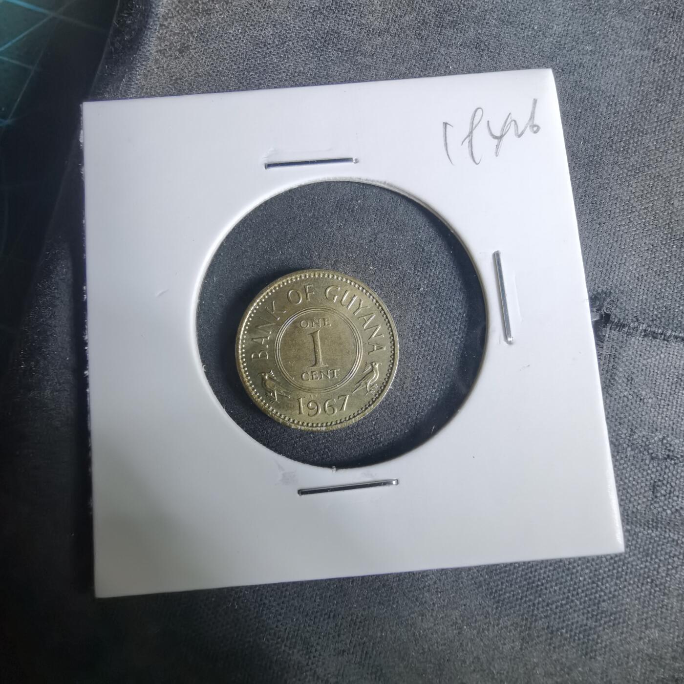 沼泽如烟--第919场