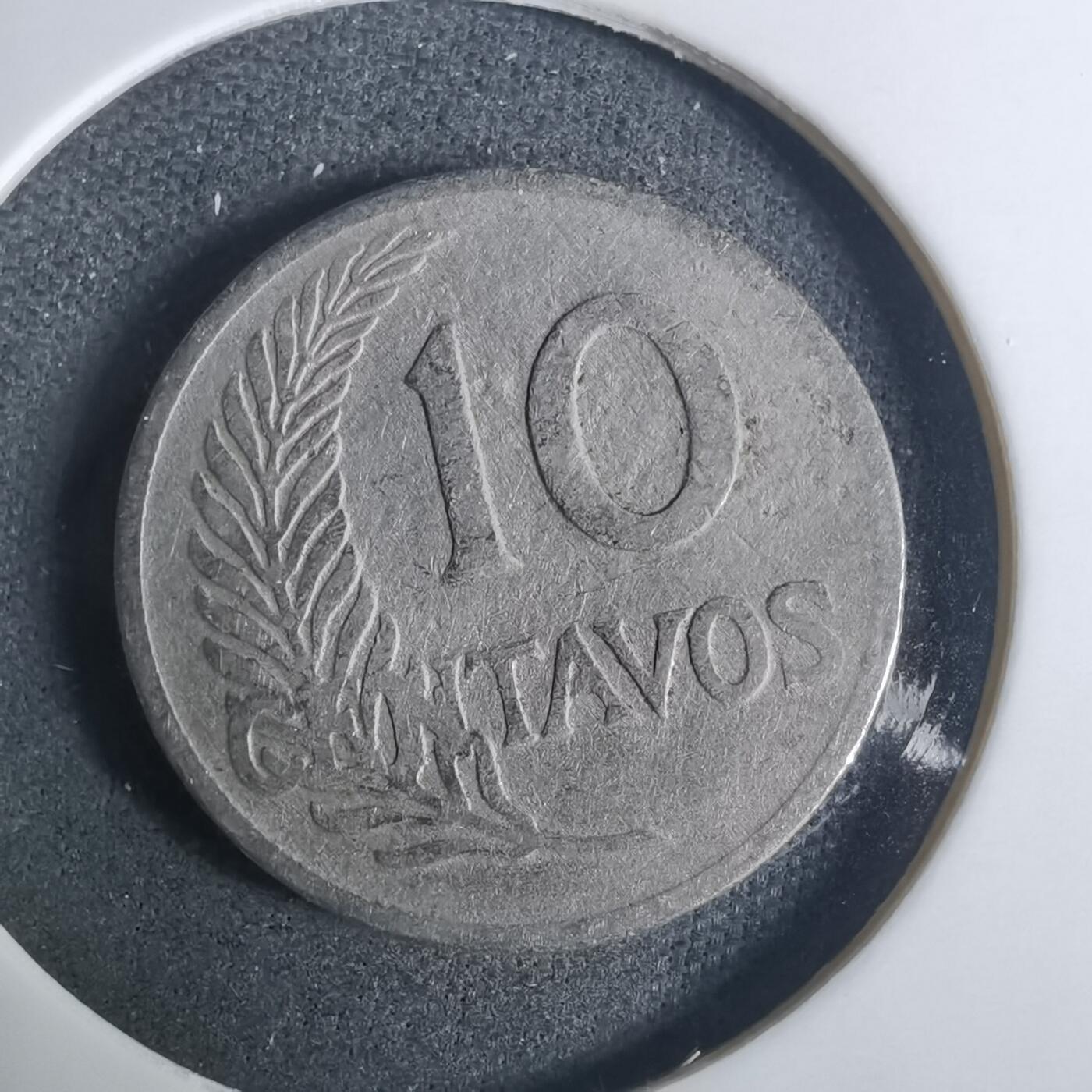 沼泽如烟--第919场