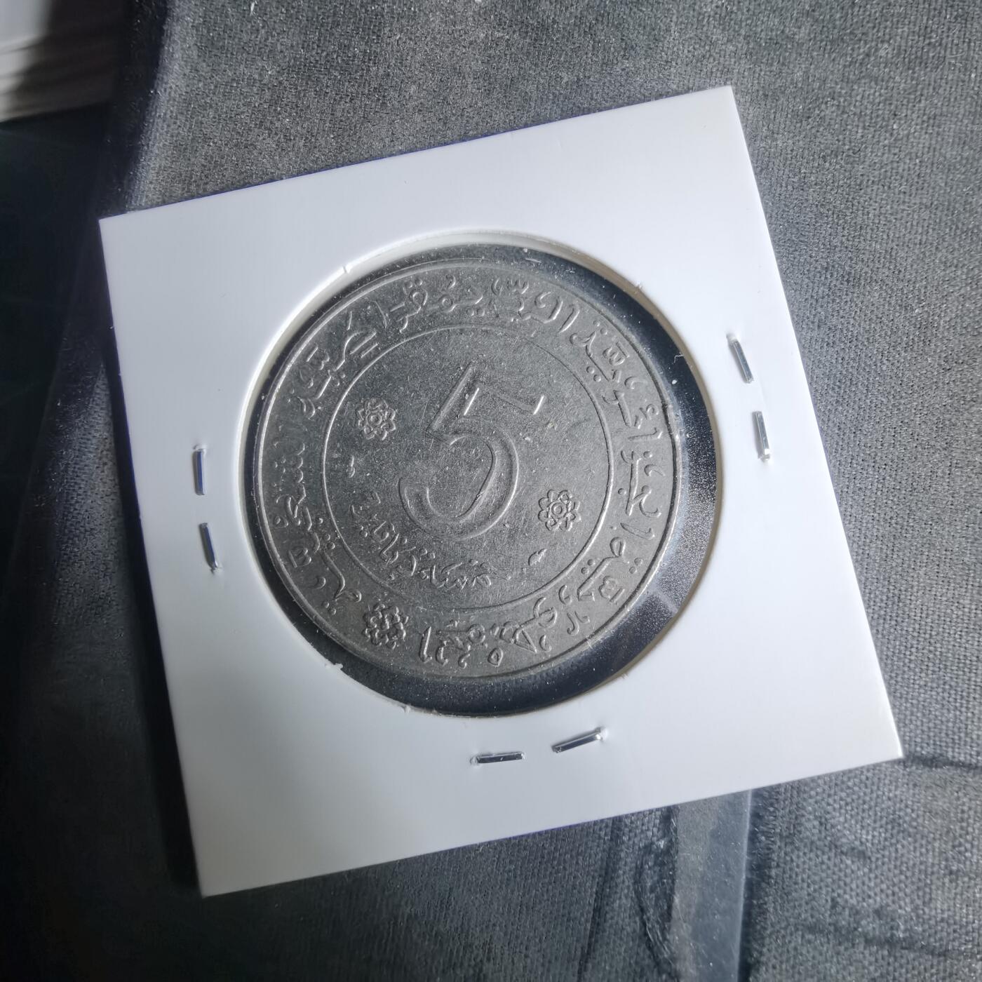 沼泽如烟--第919场