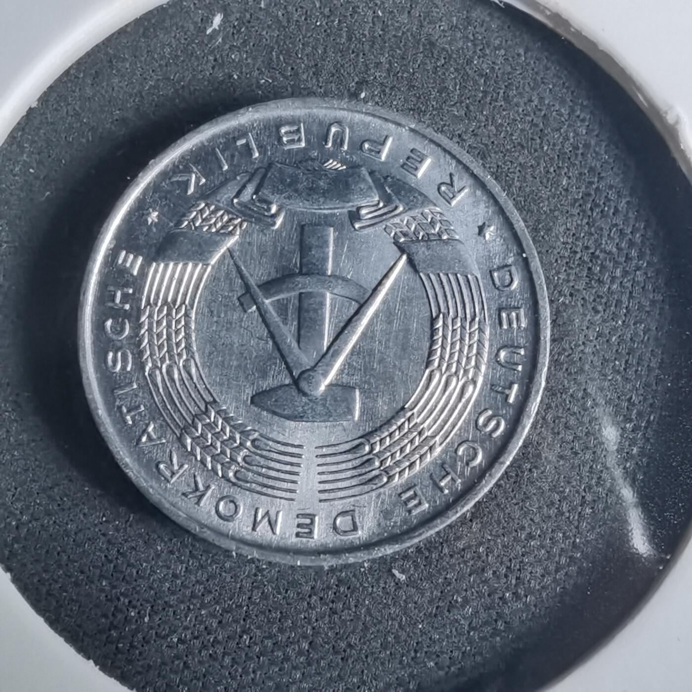 沼泽如烟--第919场