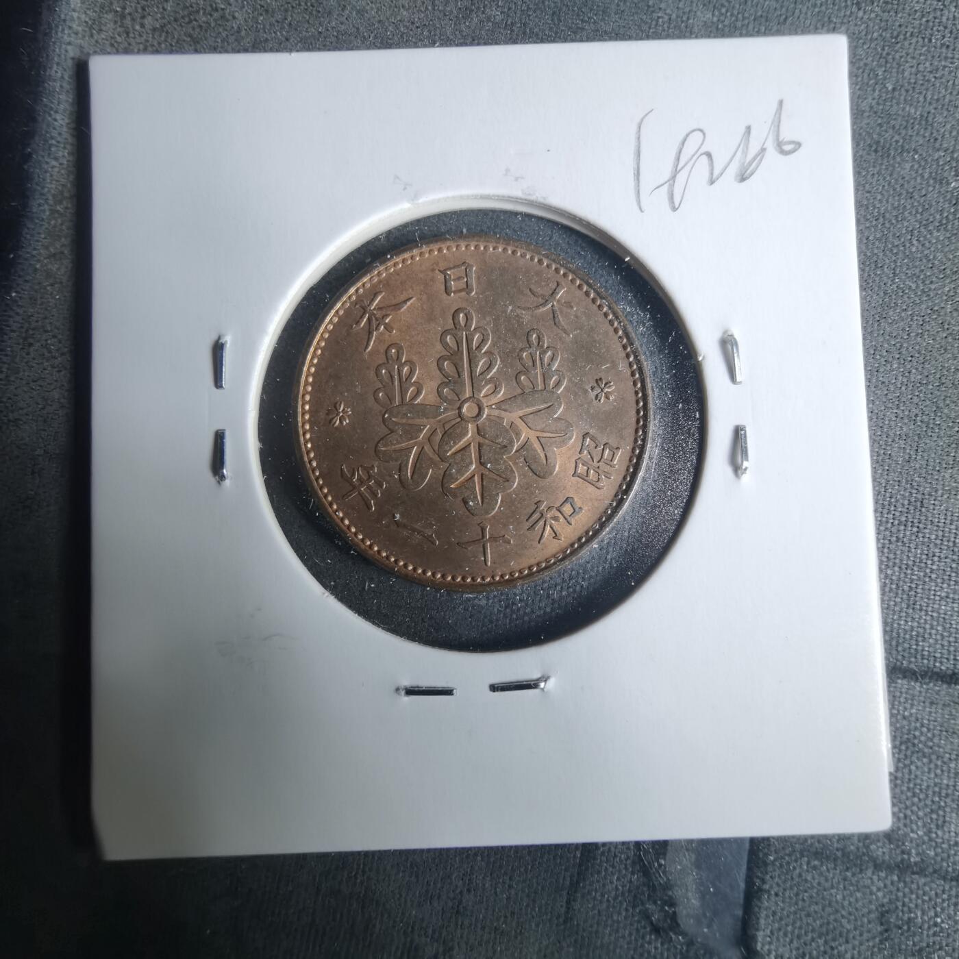 沼泽如烟--第919场