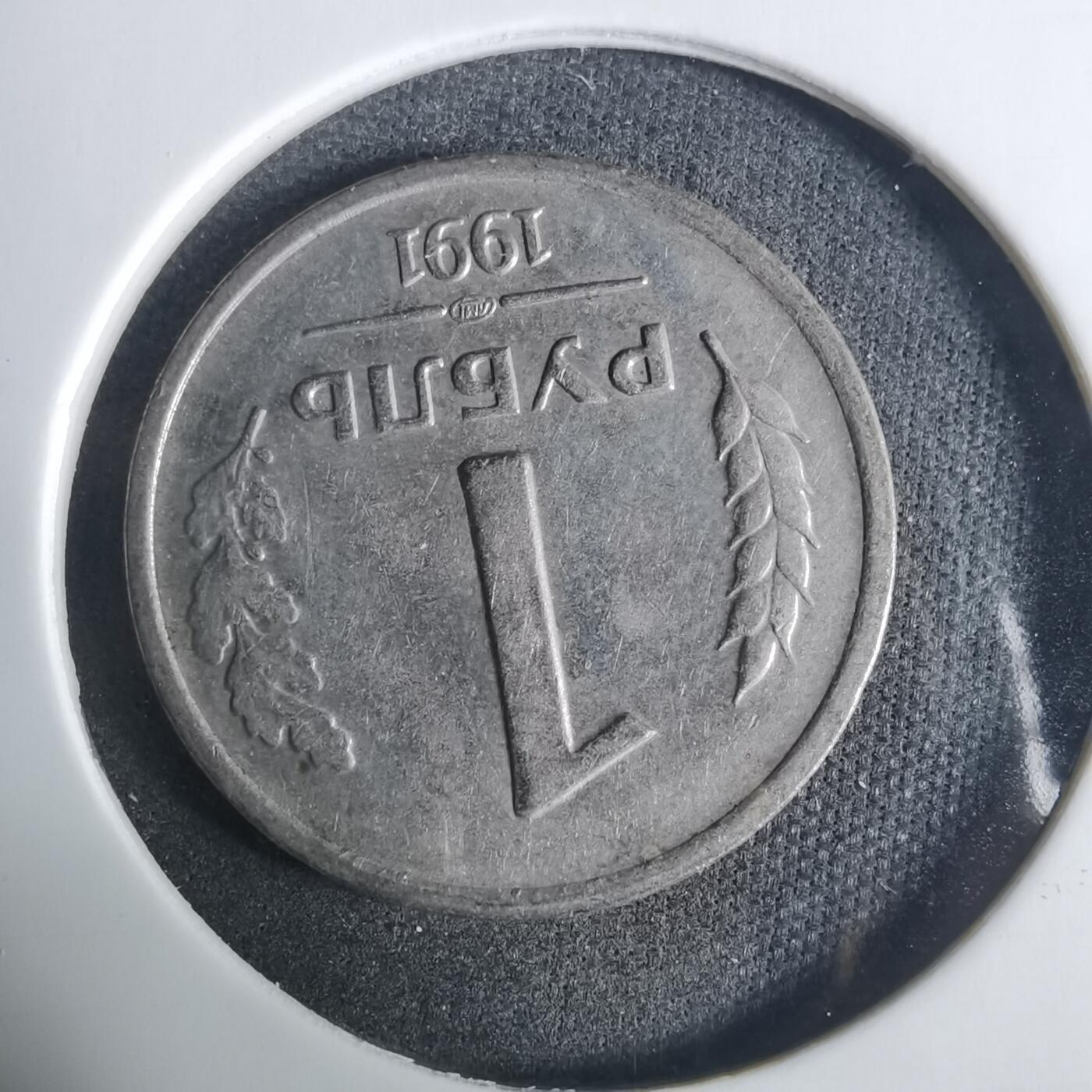 沼泽如烟--第919场