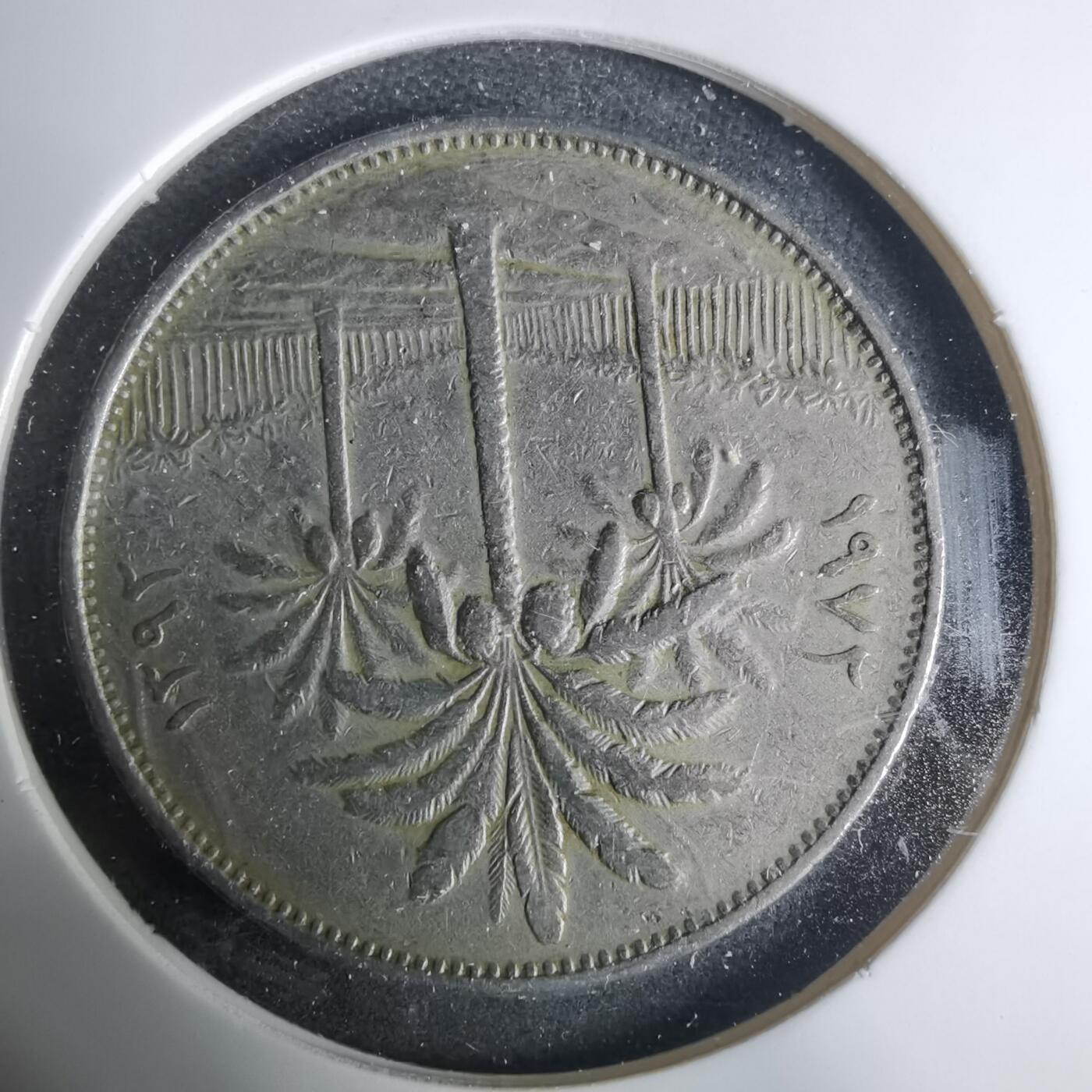 沼泽如烟--第919场