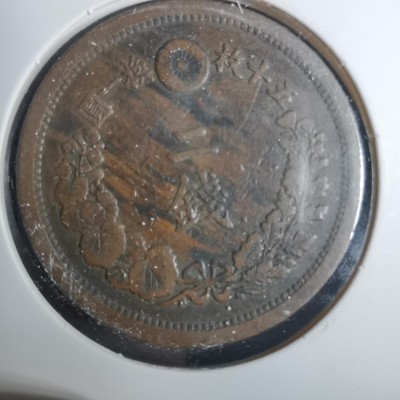 沼泽如烟--第919场