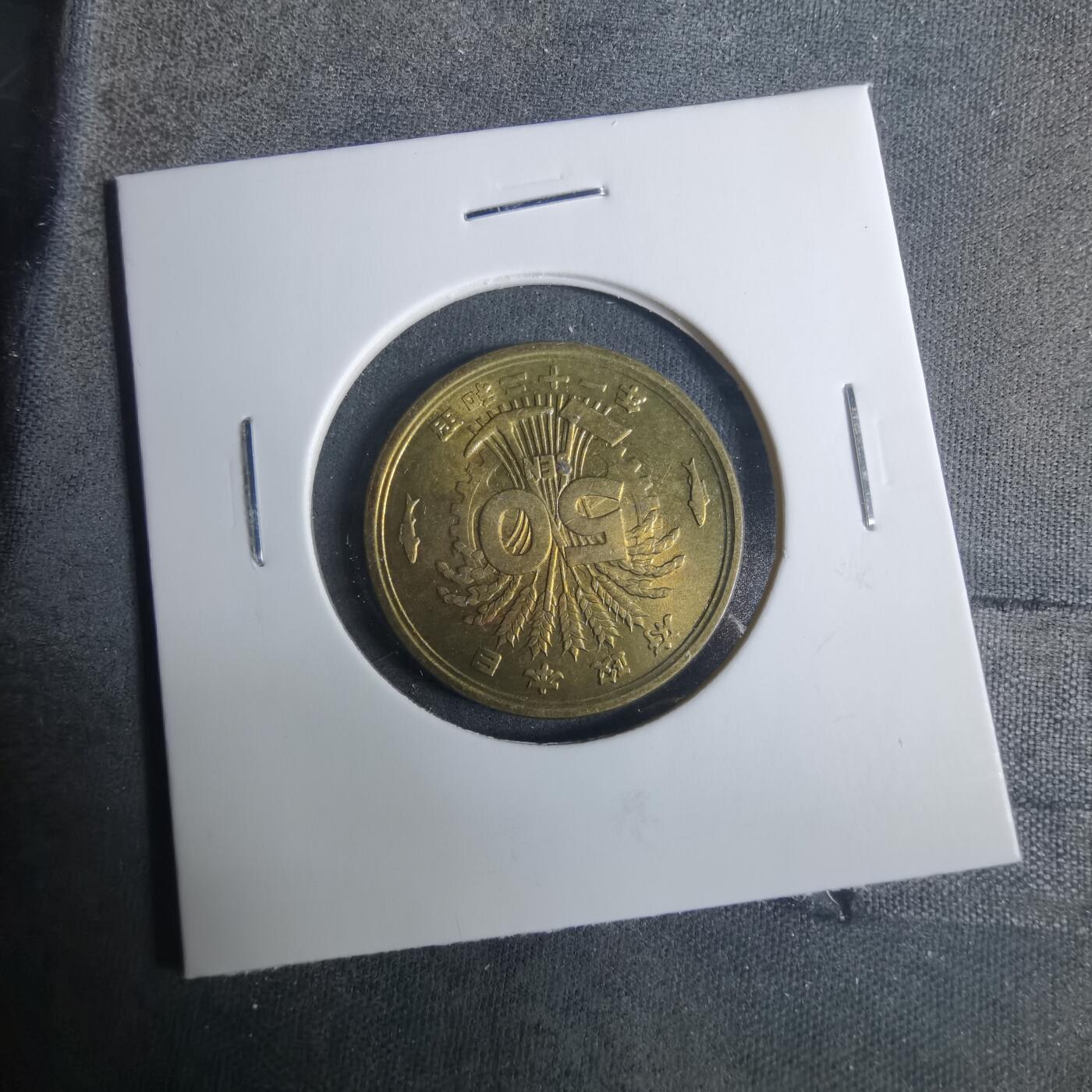 沼泽如烟--第919场