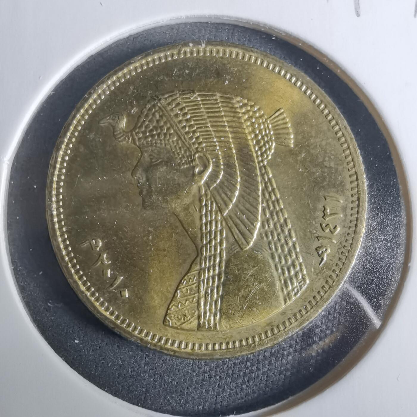 沼泽如烟--第919场 埃及