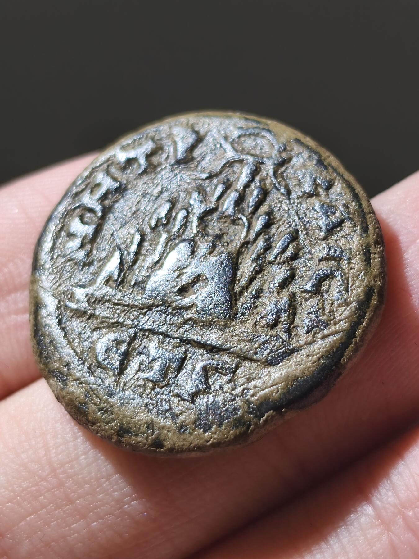 星盘世界钱币十二月六日古典币专场