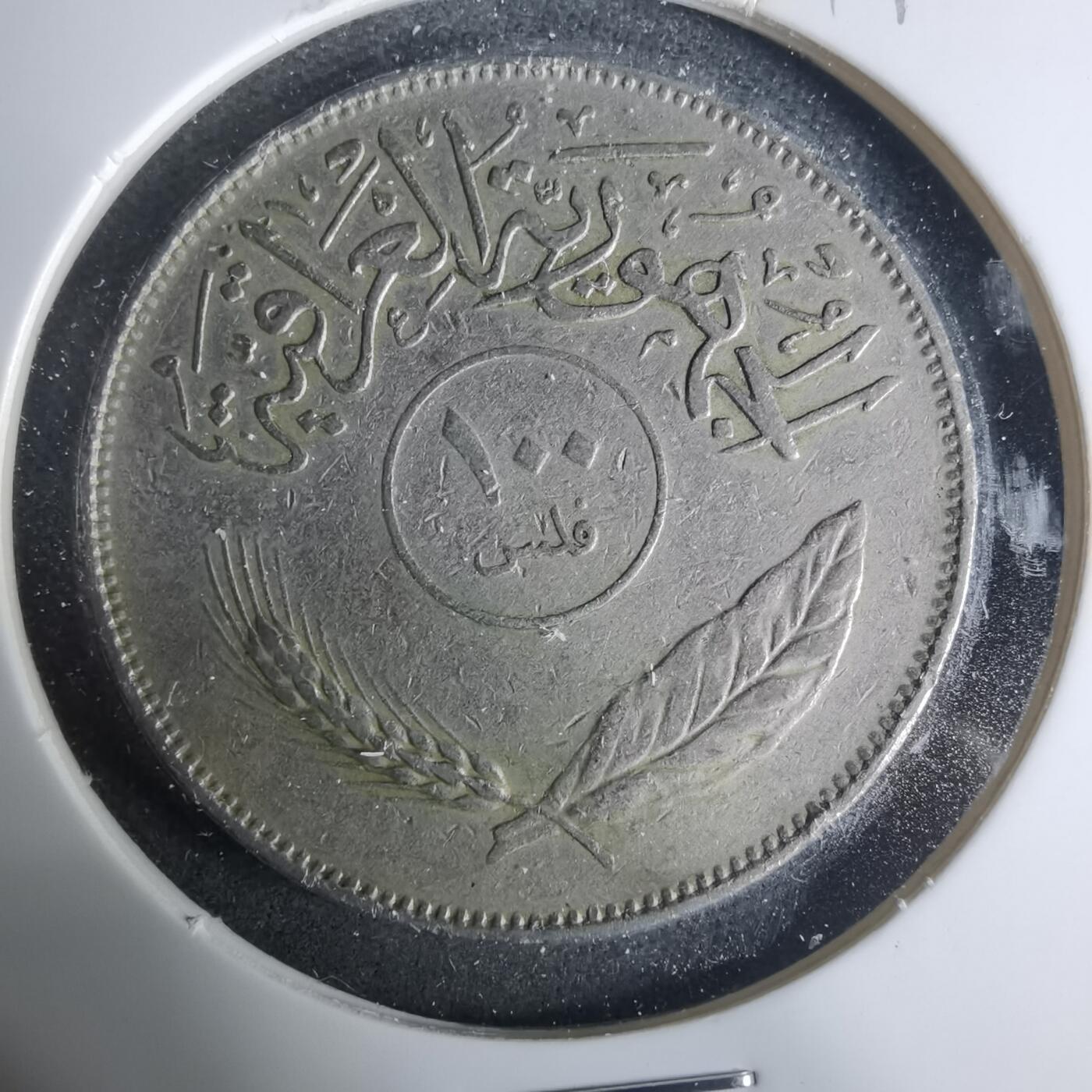 沼泽如烟--第919场