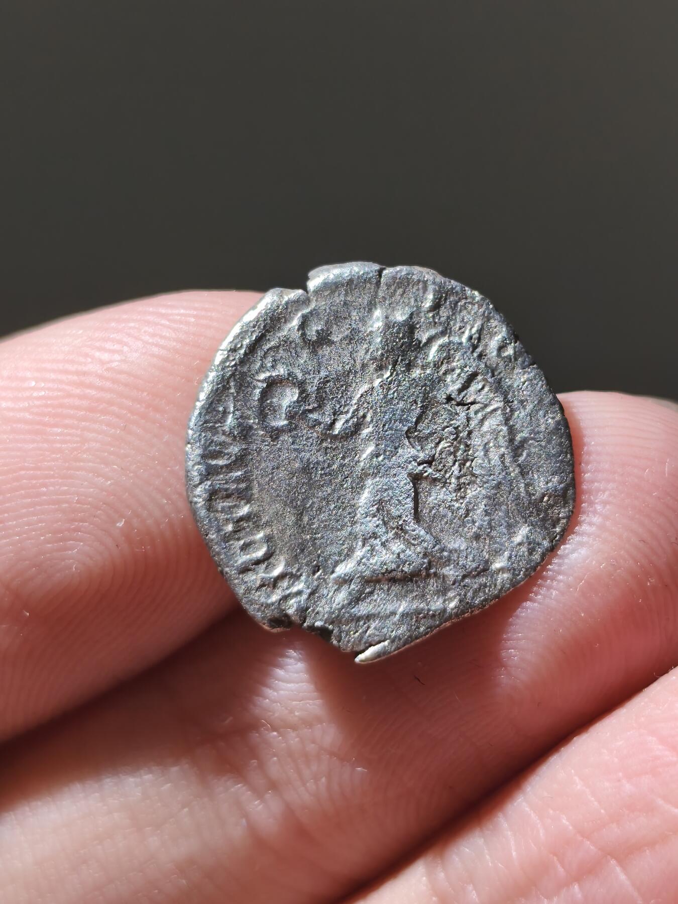 星盘世界钱币十二月六日古典币专场