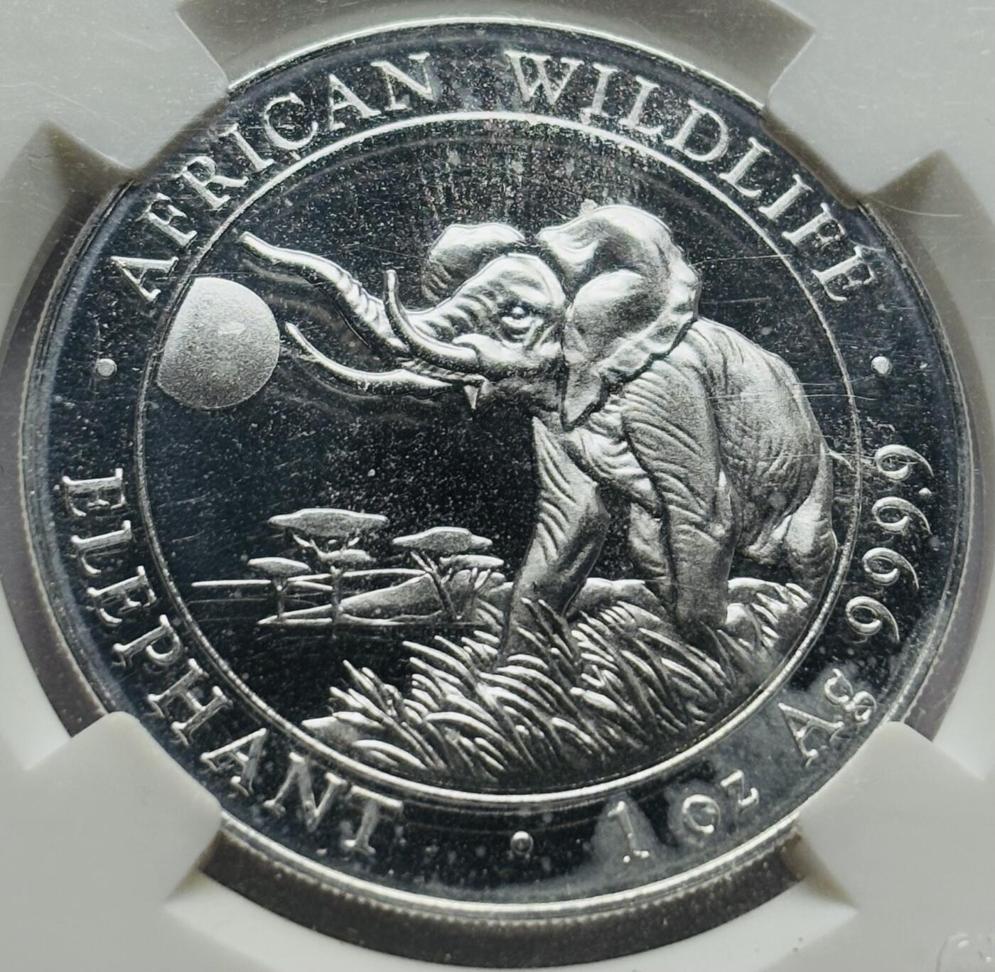 文馨钱币收藏第 283 场，【大雪鉴珍，寒英缀金】金银纪念币精品场，诚邀您的参与【长期接代拍品】 2016 年索马里 非洲象 100 先令银币 1 盎司，重 31.1 克 999 纯银，CNCS 评级 MS69 分