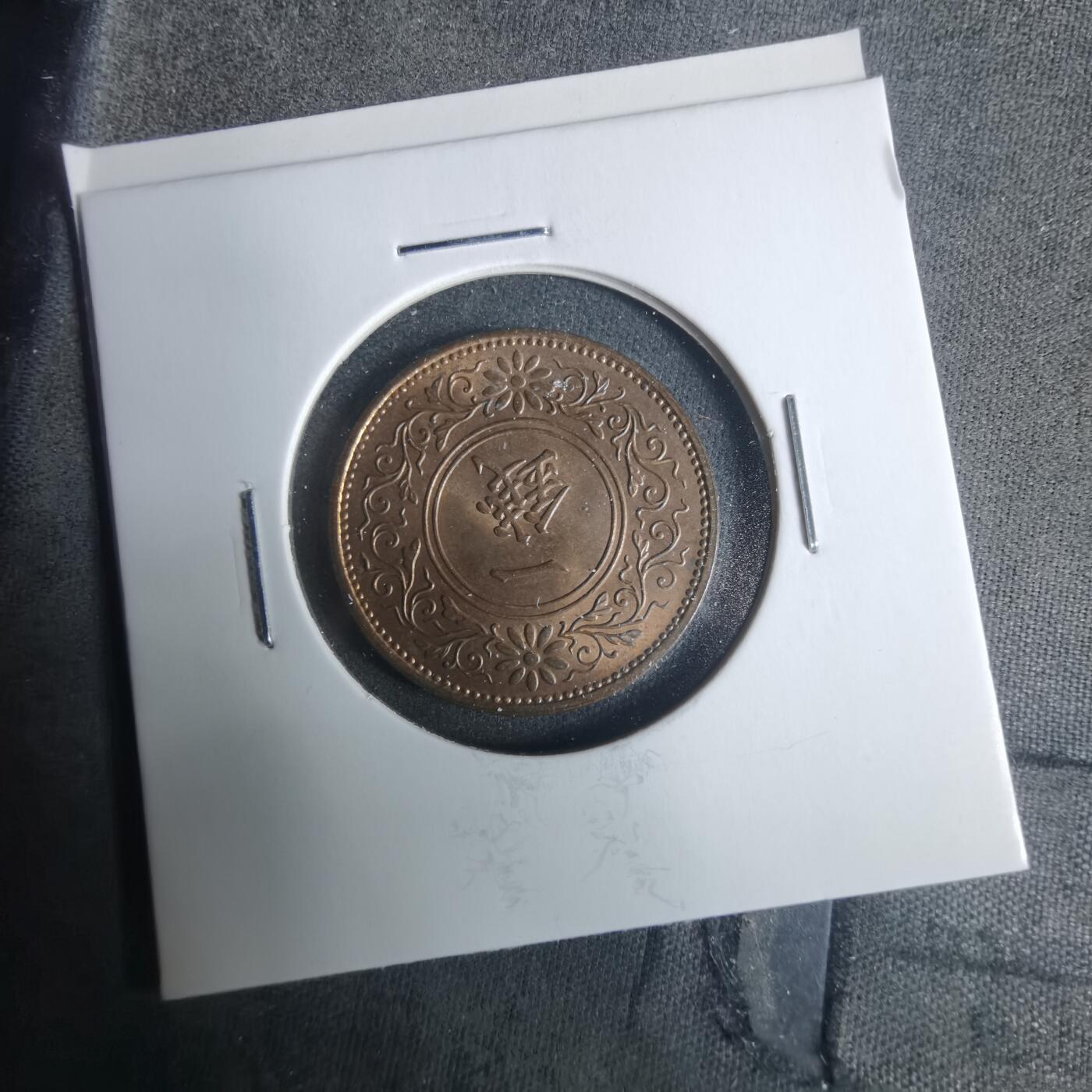 沼泽如烟--第919场