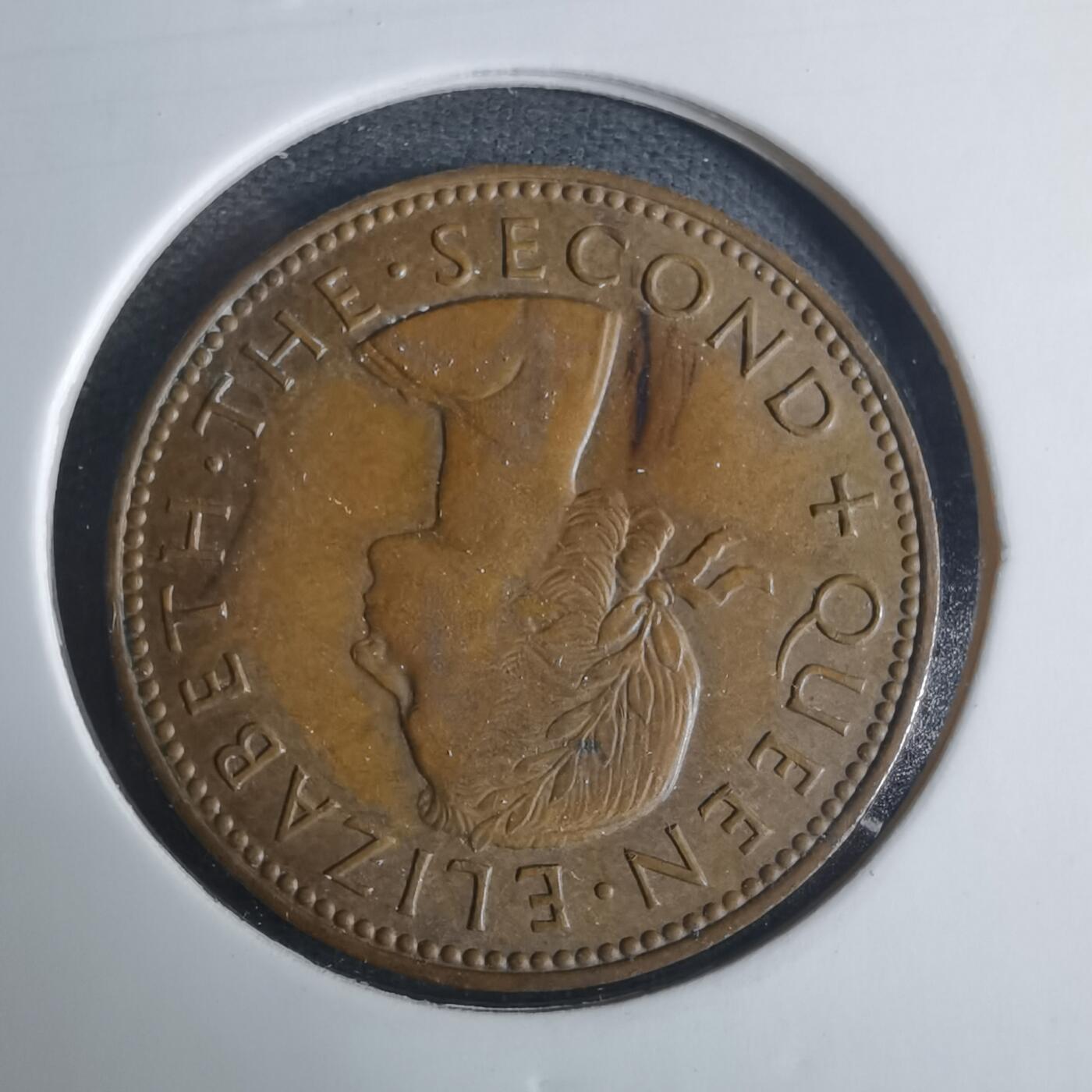 沼泽如烟--第919场