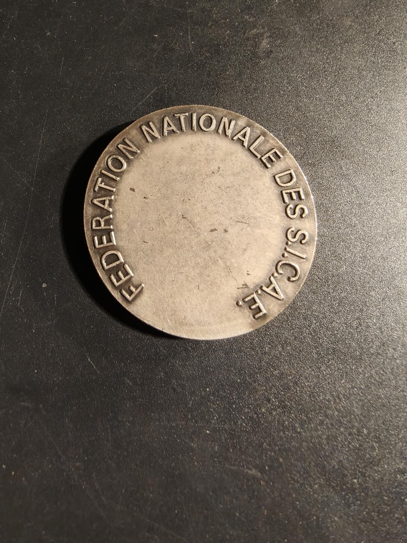 老王徽章第167期 法国全国S.I.C.A.E.联合会镀银大铜章     大师Dropsy作品     直径41mm.    重量42.3g