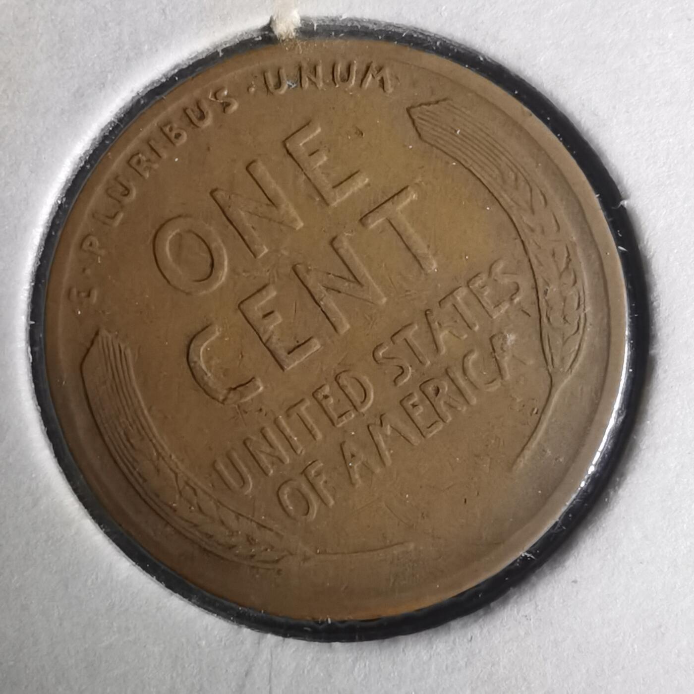 沼泽如烟--第919场