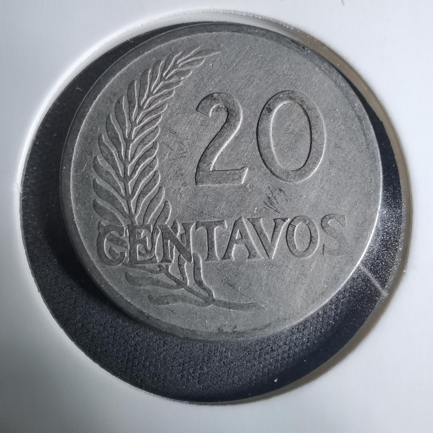 沼泽如烟--第919场